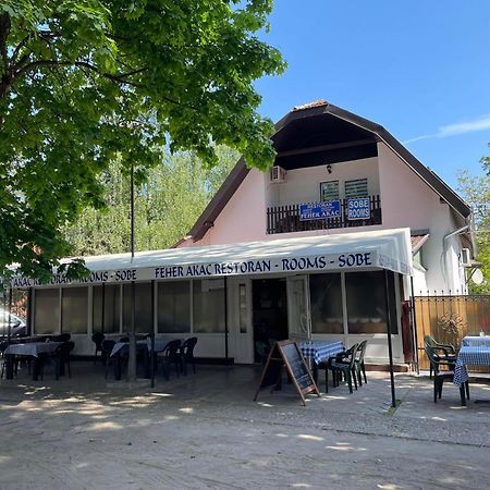 Feher Akac Guest House Palić エクステリア 写真